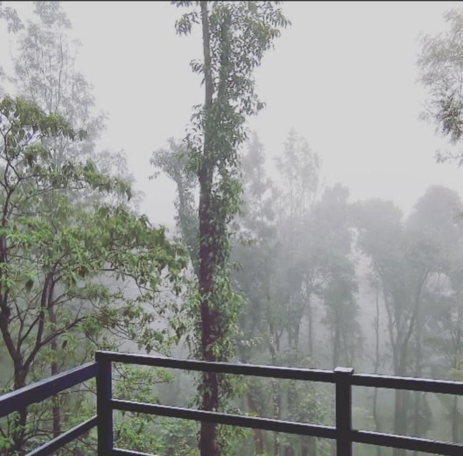 Cloud 9 Homestay Attigundi Buitenkant foto